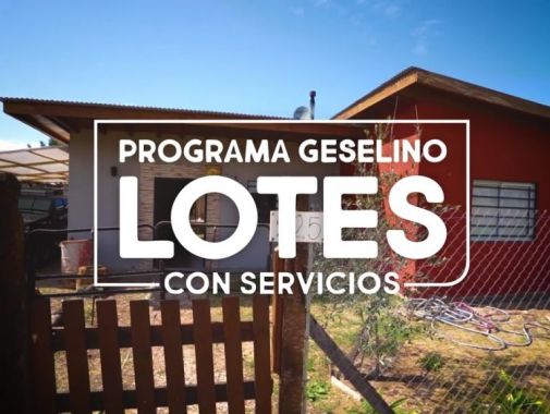Programa geselino Lotes con Servicios